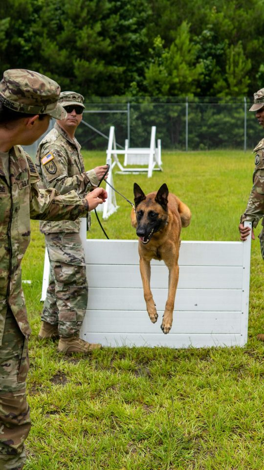 a soldier is holding a dog over a jump at The  BLVD